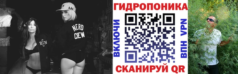 Купить где  Тихвин  Каннабис семена